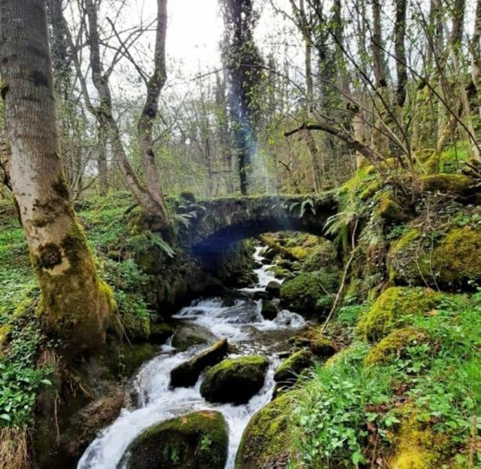 Mcastet, Casita Aranesa En El Valle De Aran Bossost Luaran gambar