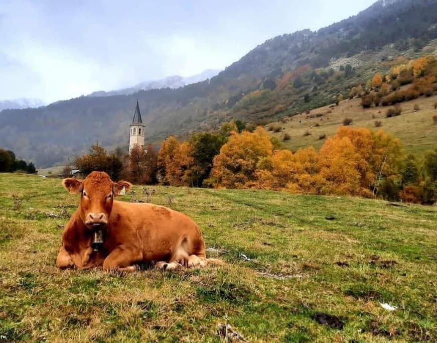 Mcastet, Casita Aranesa En El Valle De Aran Bossost Luaran gambar