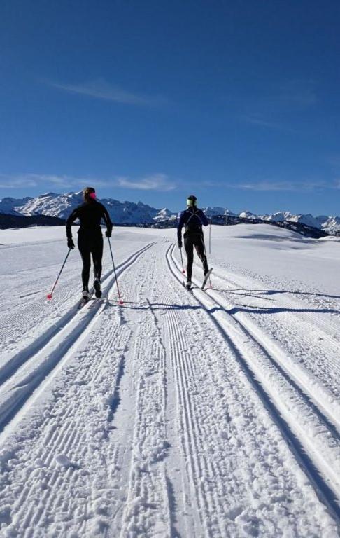 Mcastet, Casita Aranesa En El Valle De Aran Bossost Luaran gambar